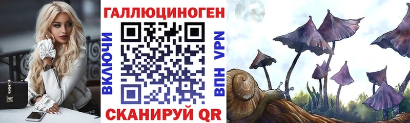 Купить закладки  Медвежьегорск  Псилоцибиновые грибы мицелий 